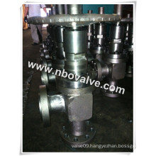 Angle Body Adjustable Choke Valves (L44Y- 3-1/16")